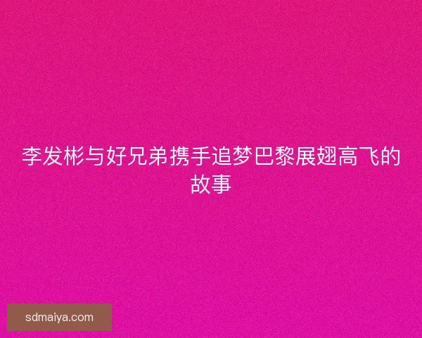 李发彬与好兄弟携手追梦巴黎展翅高飞的故事 李发彬与好兄弟携手追梦巴黎展翅高飞的故事